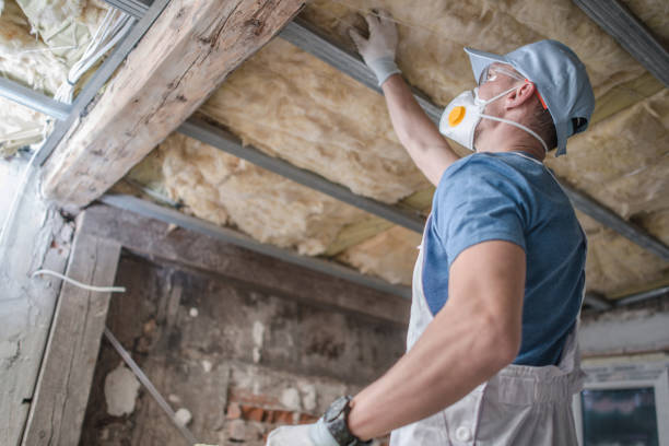 Best Types of Insulation in Nederland, TX