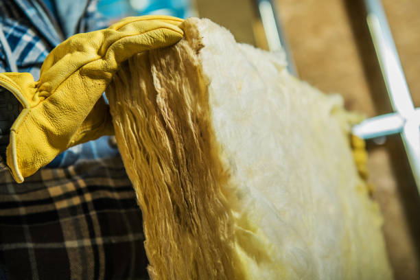 Best Insulation Maintenance and Repair in Nederland, TX